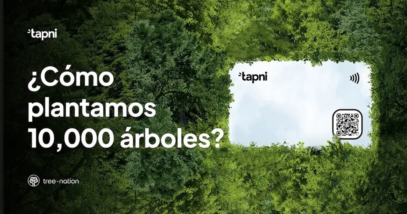 Cómo Tapni Plantó 10,000 Árboles